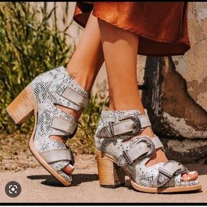 Freebird by Steven Violet